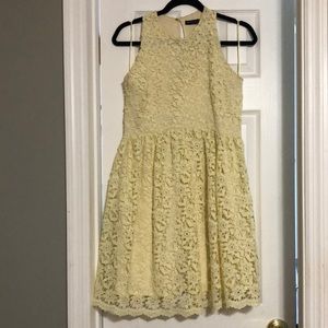 Zara Lace Dress